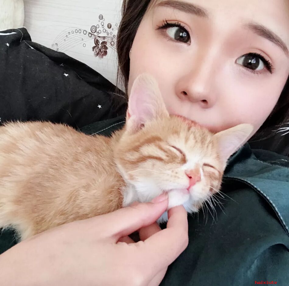视频直播间美女聊